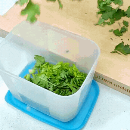 Bí quyết giữ rau thơm tươi lâu: Có nên trữ đông rau mùi (ngò rí)? Vì sao để tủ lạnh lại bị thâm đen?- Ảnh 8. Bí quyết giữ rau thơm tươi lâu: Có nên trữ đông rau mùi (ngò rí)? Vì sao để tủ lạnh lại bị thâm đen?- Ảnh 8.