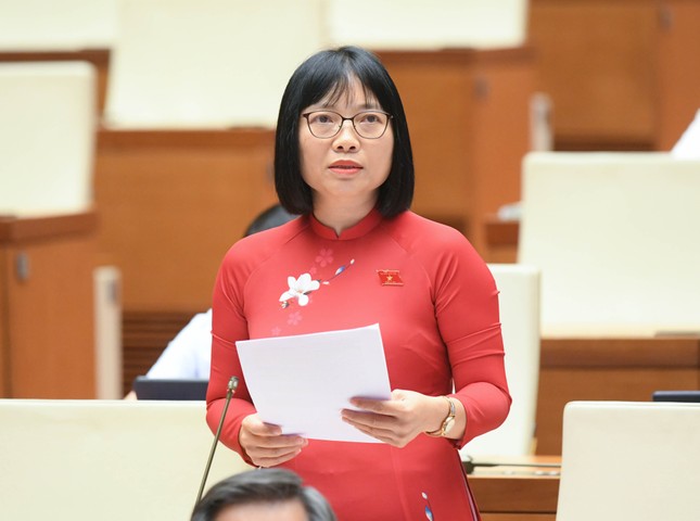 Quốc hội thảo luận hình phạt tử hình tội tham ô tài sản có cần thiết không? - Ảnh 3.