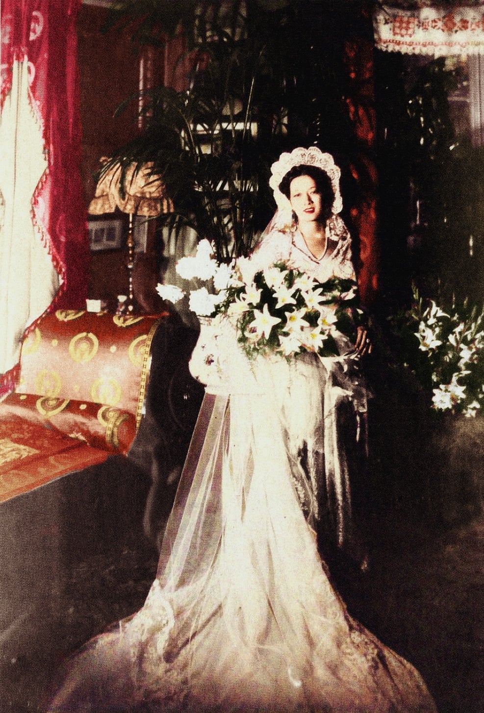 Hình ảnh