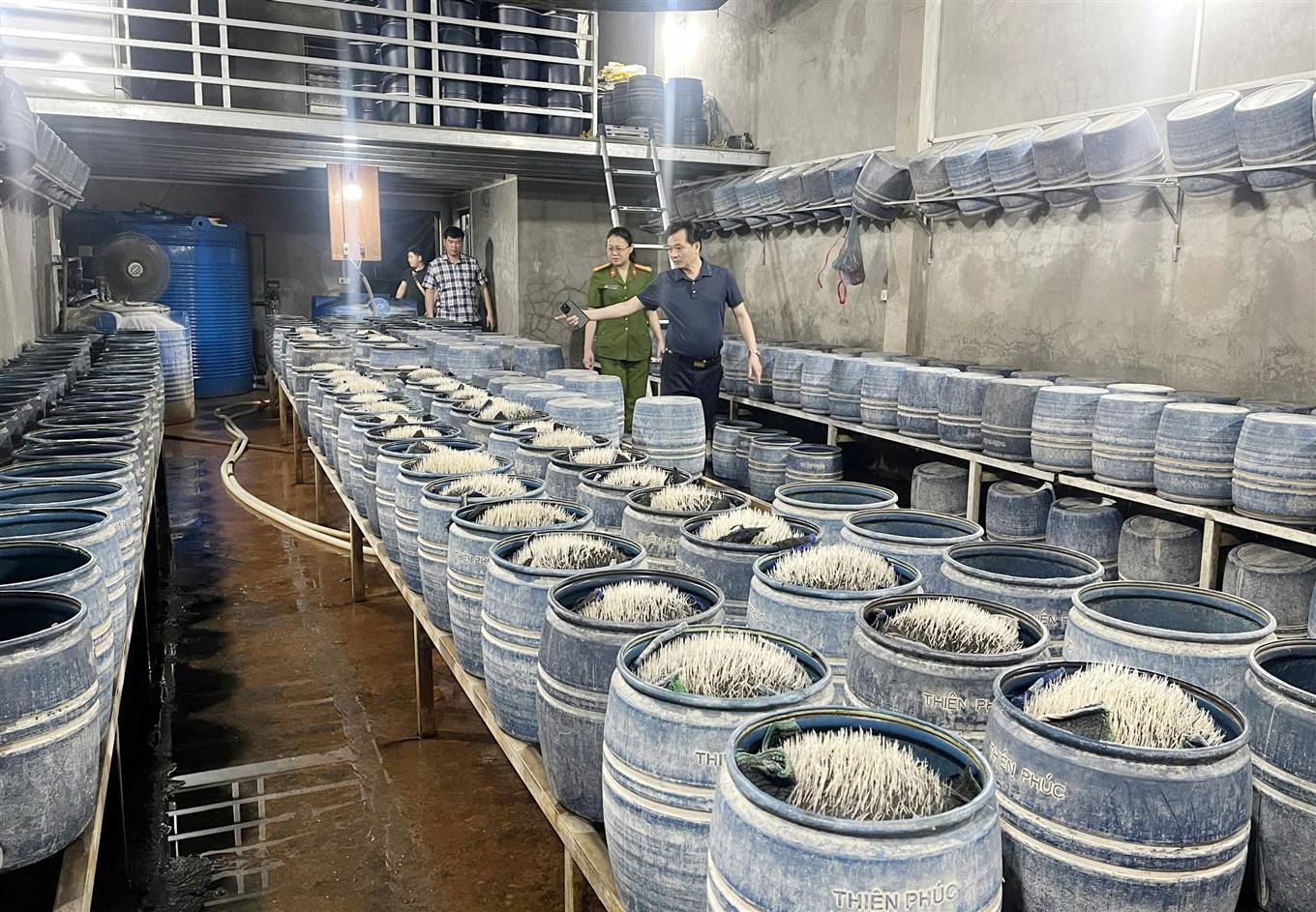 Ph&aacute;t hiện cơ sở sản xuất gi&aacute; đỗ d&ugrave;ng h&oacute;a chất độc hại tại L&agrave;o Cai - Ảnh 1.