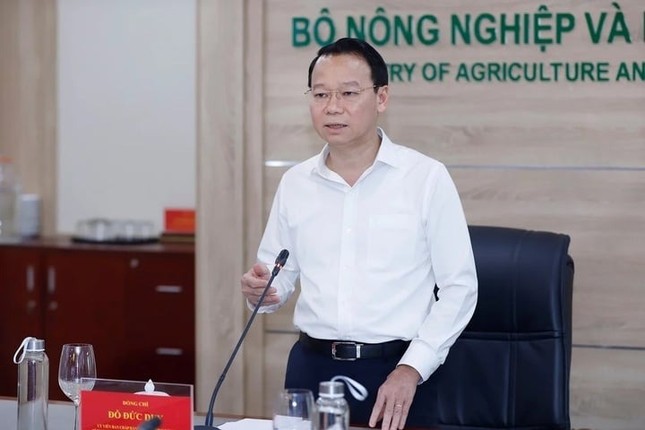 - Ảnh 3.