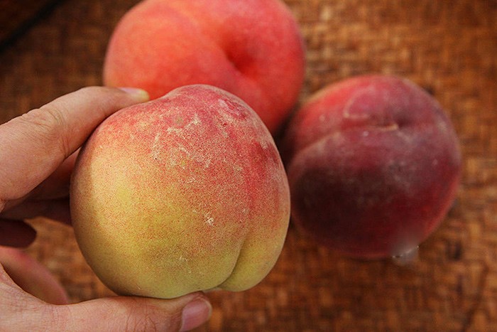 Mua đào chọn quả đầu nhọn hay đầu tròn: Hóa ra có sự khác biệt rõ ràng mà nhiều người chưa biết- Ảnh 7.