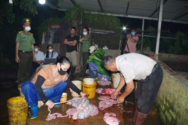 Phát hiện gần 3 tấn thịt lợn nhiễm dịch tả lợn châu Phi tại Hà Nam - Ảnh 1.