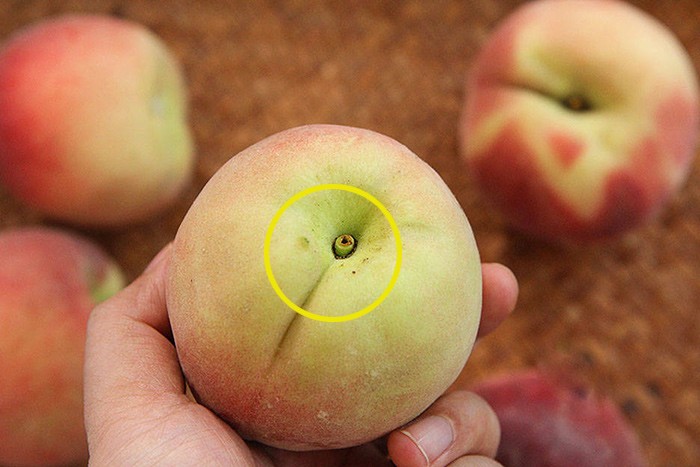 Mua đào chọn quả đầu nhọn hay đầu tròn: Hóa ra có sự khác biệt rõ ràng mà nhiều người chưa biết- Ảnh 8.