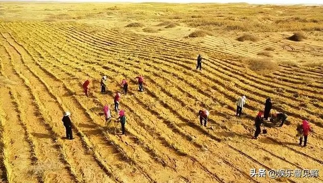 Vượt nhiều "ông lớn", Trung Quốc vô tình giải quyết bài toán khó nhằn của thế giới nhờ thí nghiệm táo bạo - Ảnh 5.