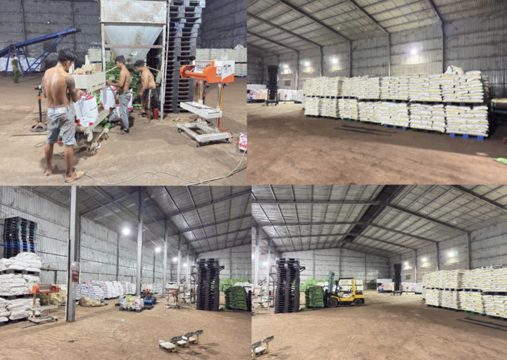 Tạm giữ giám đốc Mai Xuân Tưởng vì sản xuất phân bón giả tại Đồng Nai - Ảnh 2.