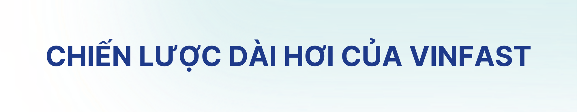 'Cú đấm’ ở phân khúc xe dịch vụ và cách VinFast xây chắc vị thế số 1 thị trường- Ảnh 6.