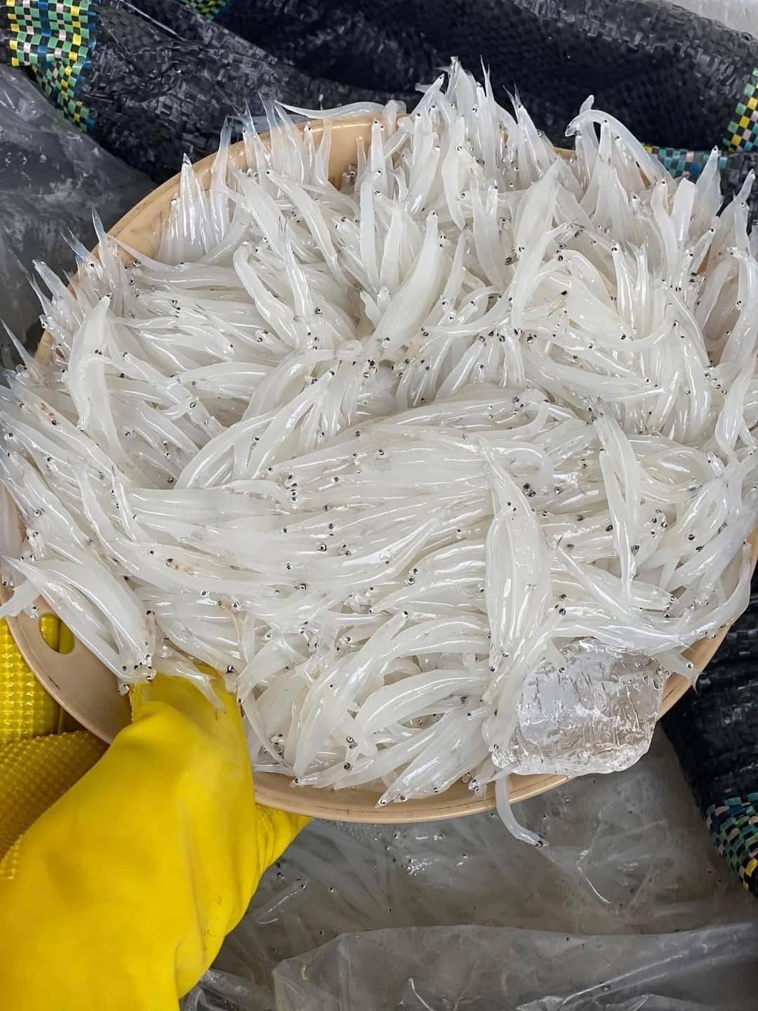 Loại đặc sản được v&iacute; như "ngọc trong nước" chỉ c&oacute; ở s&ocirc;ng Đ&agrave;, nhiều người kh&ocirc;ng ngại vượt h&agrave;ng trăm c&acirc;y số đến 2 tỉnh n&agrave;y để thưởng thức- Ảnh 2.