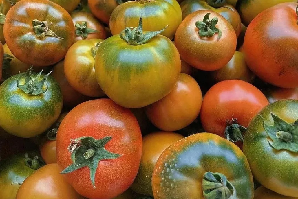 4 loại c&agrave; chua độc hại: Loại dễ g&acirc;y ung thư, loại "tra tấn" dạ d&agrave;y, chợ b&aacute;n rẻ mấy cũng quay xe - Ảnh 1.