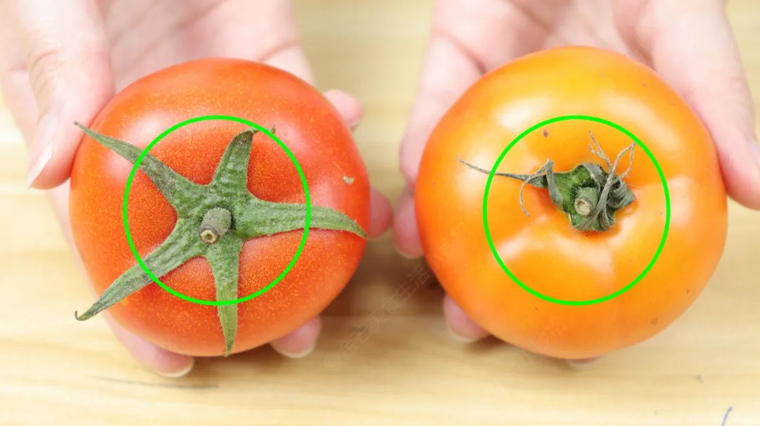 4 loại c&agrave; chua độc hại: Loại dễ g&acirc;y ung thư, loại "tra tấn" dạ d&agrave;y, chợ b&aacute;n rẻ mấy cũng quay xe - Ảnh 5.