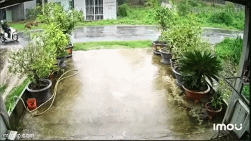 Trích xuất camera vụ 2 người đàn ông ngã ra đường tử vong: Nguyên nhân xót xa - Ảnh 1.