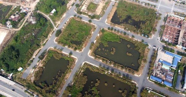 Mặt tối ng&agrave;nh chăn g&agrave; trị gi&aacute; hơn 46 tỷ USD của Mỹ - Ảnh 3.