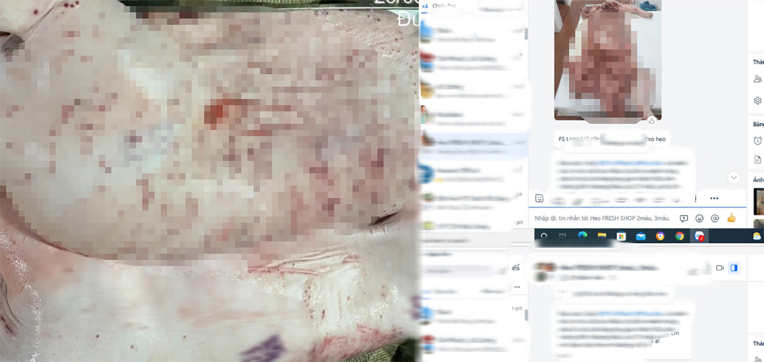 Vụ tố cửa h&agrave;ng của C.P. Việt Nam b&aacute;n thịt heo bệnh: Tỉnh S&oacute;c Trăng v&agrave;o cuộc kiểm tra- Ảnh 1.