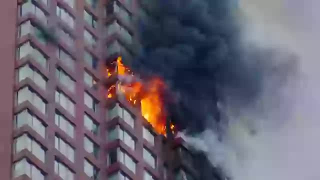 C&acirc;u chuyện kỳ dị của &ldquo;người phụ nữ xui xẻo nhất h&agrave;nh tinh&rdquo;: Nằm h&ocirc;n m&ecirc; 1 th&aacute;ng v&igrave; quả b&oacute;ng bay, sau đ&oacute; lại bị động cơ m&aacute;y bay rơi thẳng v&agrave;o nh&agrave; tại c&ugrave;ng 1 địa điểm- Ảnh 3.