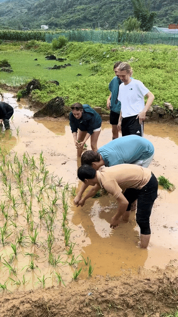 Khách Tây không ngại khó, không ngại bẩn, thích thú với trải nghiệm nhiều người Việt cũng không biết làm - Ảnh 2.