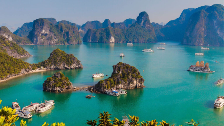 Tăng trưởng 1 tầng lớp ở VN thuộc hàng cao nhất châu Á, giai đoạn vàng của ngành có doanh thu 34 tỷ USD - Ảnh 2.
