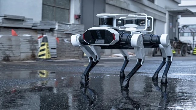 Robot chó 6 chân bảo tồn chùa gỗ cổ nhất, cao nhất thế giới - Ảnh 2. Robot chó 6 chân bảo tồn chùa gỗ cổ nhất, cao nhất thế giới - Ảnh 2.