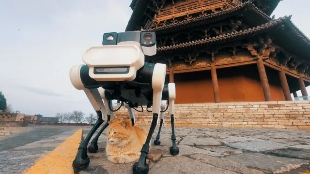 Robot chó 6 chân bảo tồn chùa gỗ cổ nhất, cao nhất thế giới - Ảnh 1. Robot chó 6 chân bảo tồn chùa gỗ cổ nhất, cao nhất thế giới - Ảnh 1.
