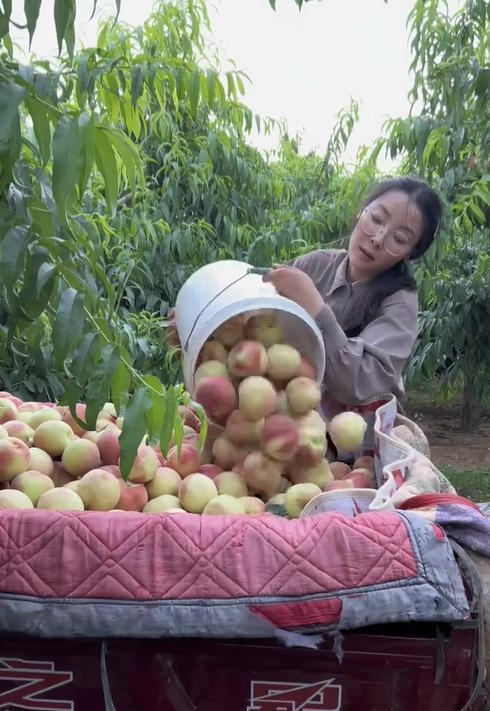 Cô gái nông thôn gánh vác gia đình, được gọi là Tây Thi xứ tỷ dân - Ảnh 4.