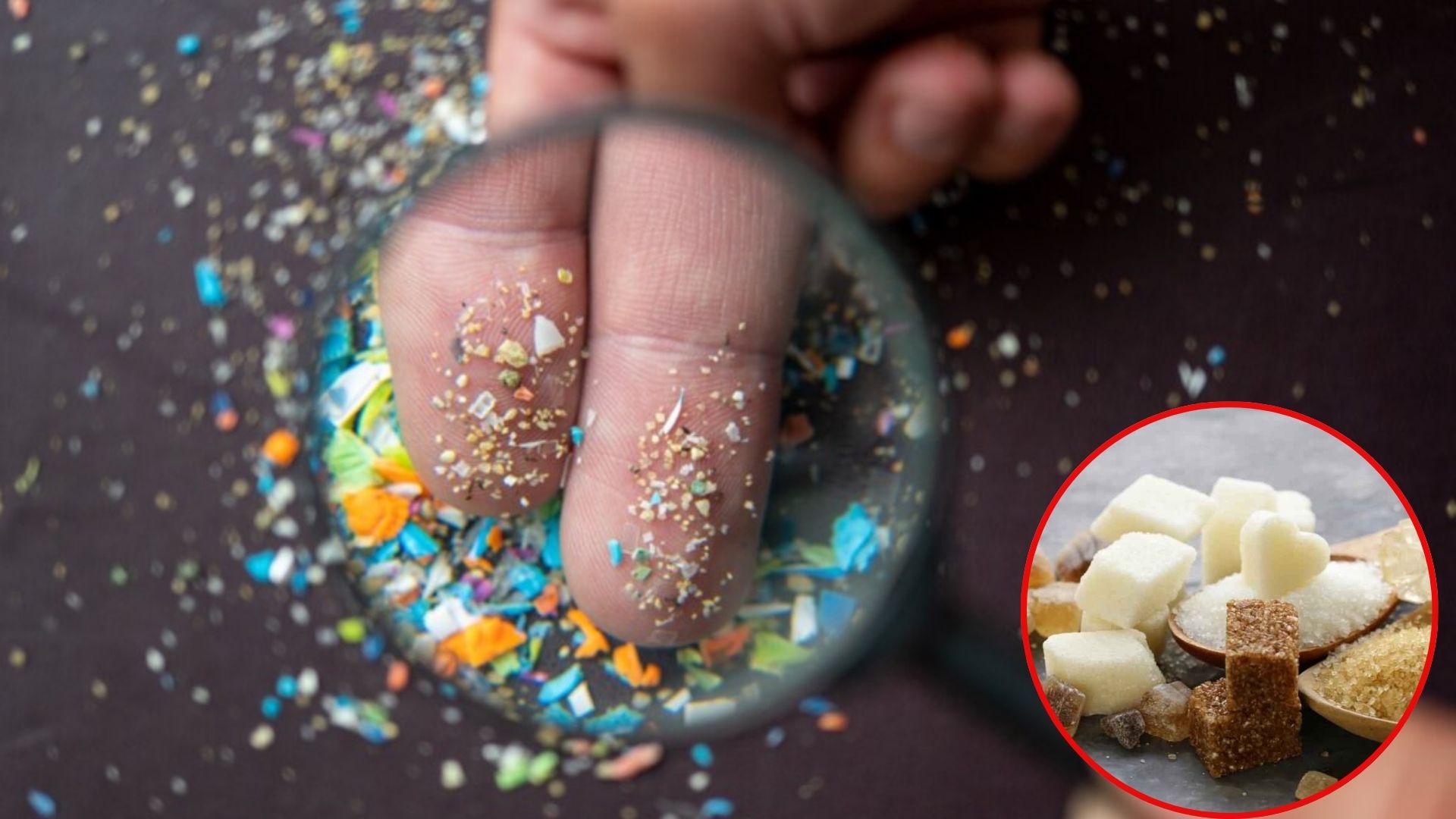 Không ai ngờ: Mỗi năm người Việt nuốt 49.000 hạt vi nhựa từ vật dụng quen thuộc này - Ảnh 2.