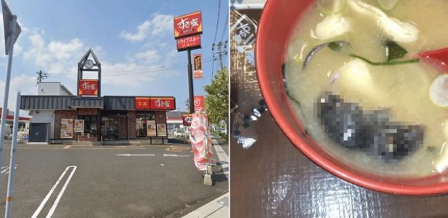 Ăn rau ở quầy buffet khách sạn, vị khách tái mặt khi phát hiện "thứ đáng sợ" - Ảnh 2.