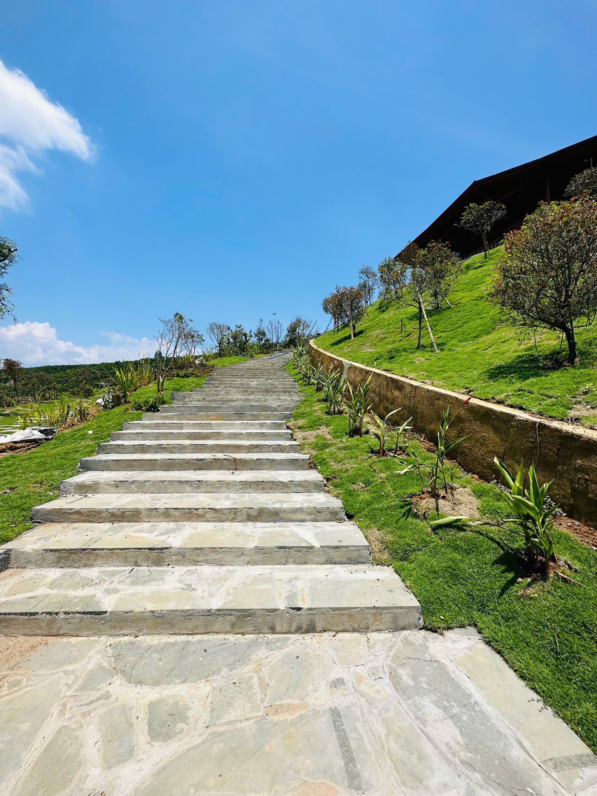 Nghệ sĩ sở hữu biệt phủ 100 tỷ ở Đồng Nai, resort 10.000 m2 ở Di Linh: “Bị soi quá thì tôi trốn” - Ảnh 4.