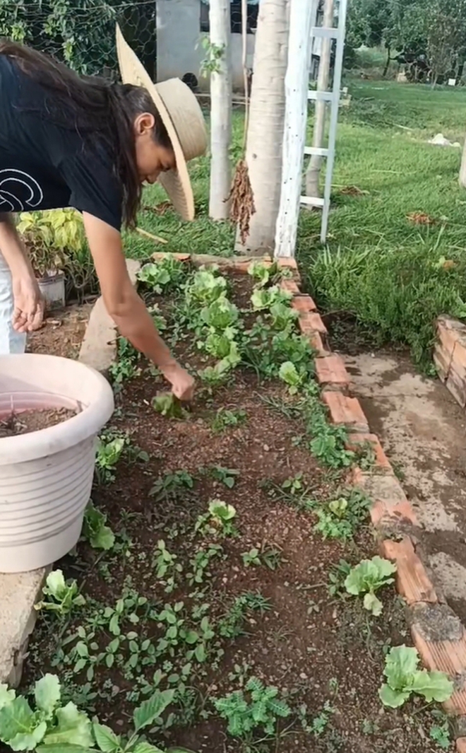 Clip c&oacute; mở b&agrave;i hoang mang, th&acirc;n b&agrave;i v&agrave; kết b&agrave;i hoang đường khiến 35 triệu người kh&ocirc;ng thể dừng xem- Ảnh 3.