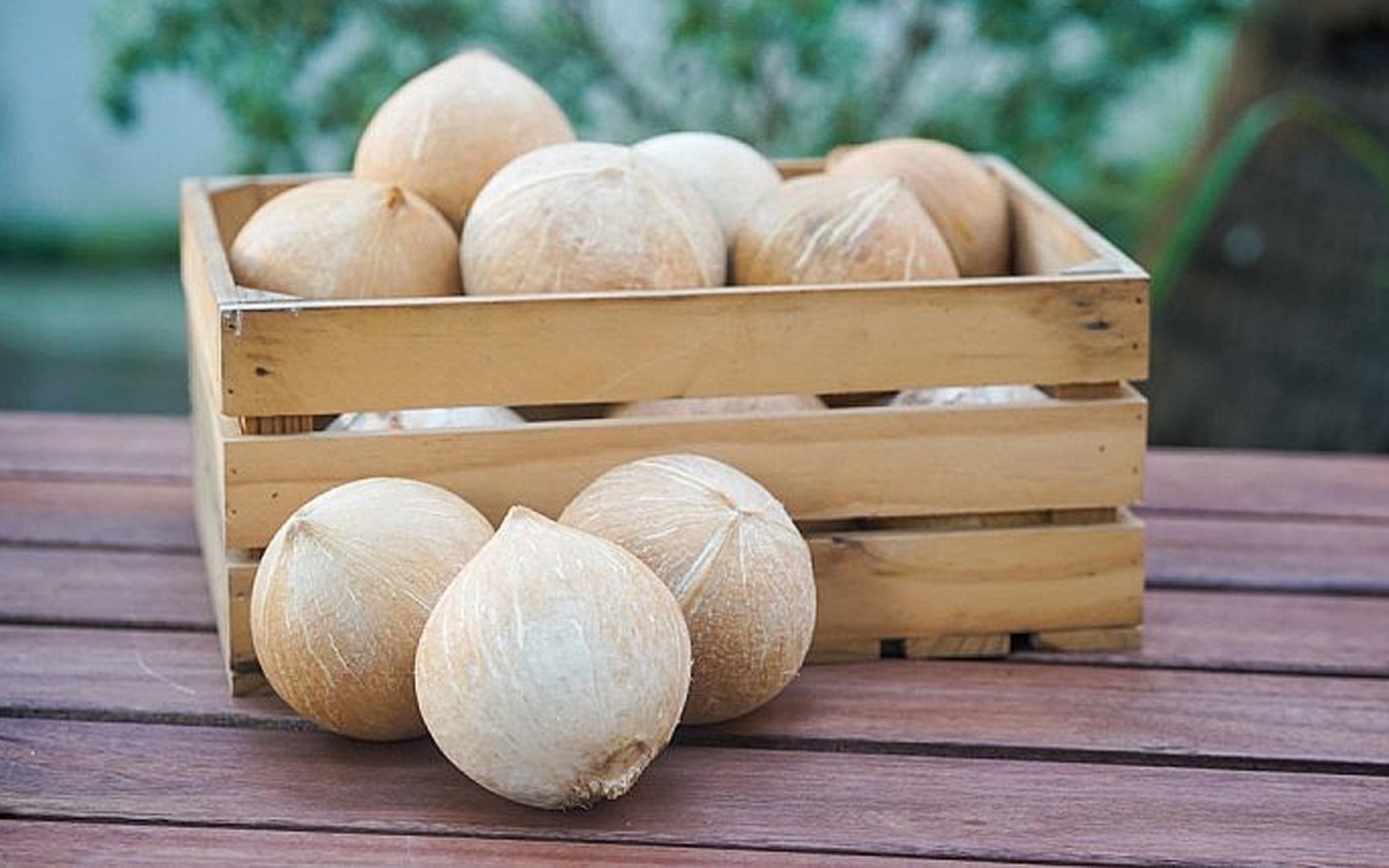 Đi bộ không bằng ăn đúng: 3 thực phẩm giúp bạn đánh bại cao huyết áp ngay tại nhà - Ảnh 4.