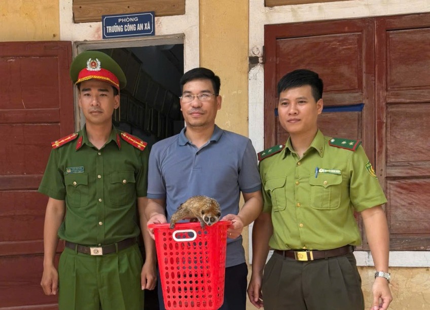 Thấy "vật lạ" trong vườn nhà, không ngờ là loài quý hiếm - Ảnh 1.