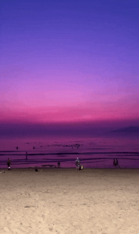 Cảnh tượng gây sốc ở vùng biển đẹp nhất Việt Nam, dân bản địa thốt lên “20 năm sống ở đây chưa từng thấy”- Ảnh 1. Cảnh tượng gây sốc ở vùng biển đẹp nhất Việt Nam, dân bản địa thốt lên “20 năm sống ở đây chưa từng thấy”- Ảnh 1.
