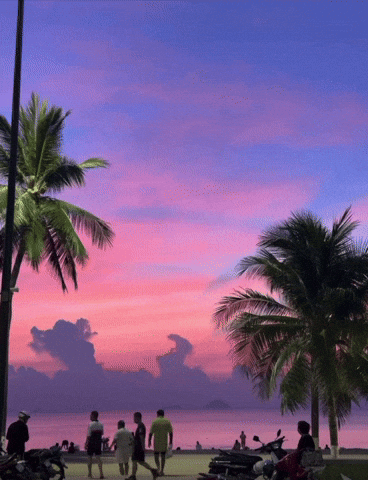 Cảnh tượng gây sốc ở vùng biển đẹp nhất Việt Nam, dân bản địa thốt lên “20 năm sống ở đây chưa từng thấy”- Ảnh 8. Cảnh tượng gây sốc ở vùng biển đẹp nhất Việt Nam, dân bản địa thốt lên “20 năm sống ở đây chưa từng thấy”- Ảnh 8.