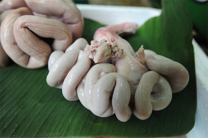- Ảnh 1. - Ảnh 1.