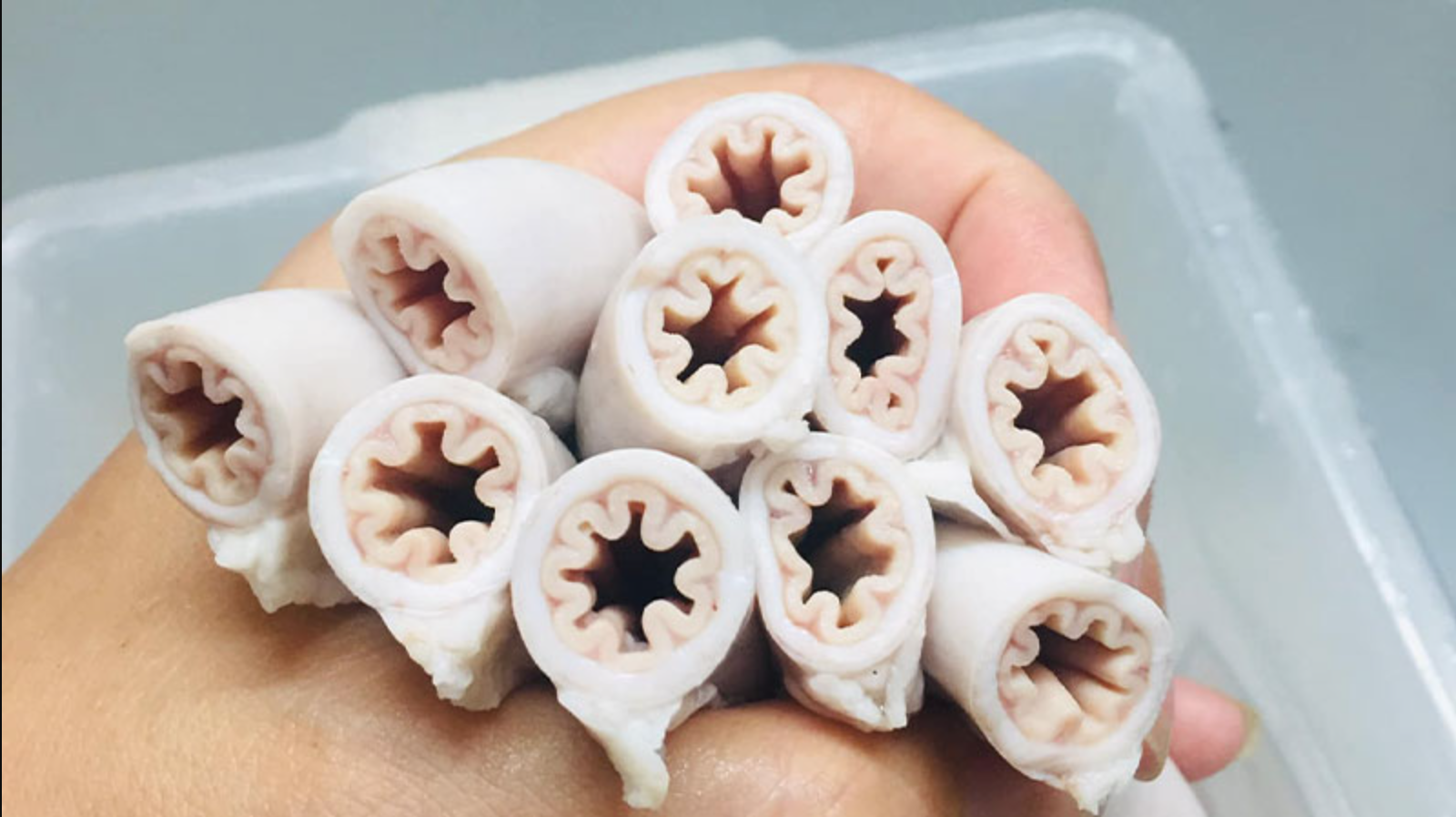 Hàng loạt thực khách từng ăn lòng se điếu bỗng hoang mang, khi phát hiện sự thật đằng sau món đặc sản- Ảnh 1.