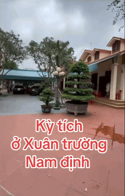 5 anh em chung sống hòa thuận trong 1 khu đất, xây 5 căn nhà giống hệt nhau ở Nam Định gây sốt MXH: Bí quyết nằm ở nhân vật đặc biệt này?- Ảnh 1. 5 anh em chung sống hòa thuận trong 1 khu đất, xây 5 căn nhà giống hệt nhau ở Nam Định gây sốt MXH: Bí quyết nằm ở nhân vật đặc biệt này?- Ảnh 1.