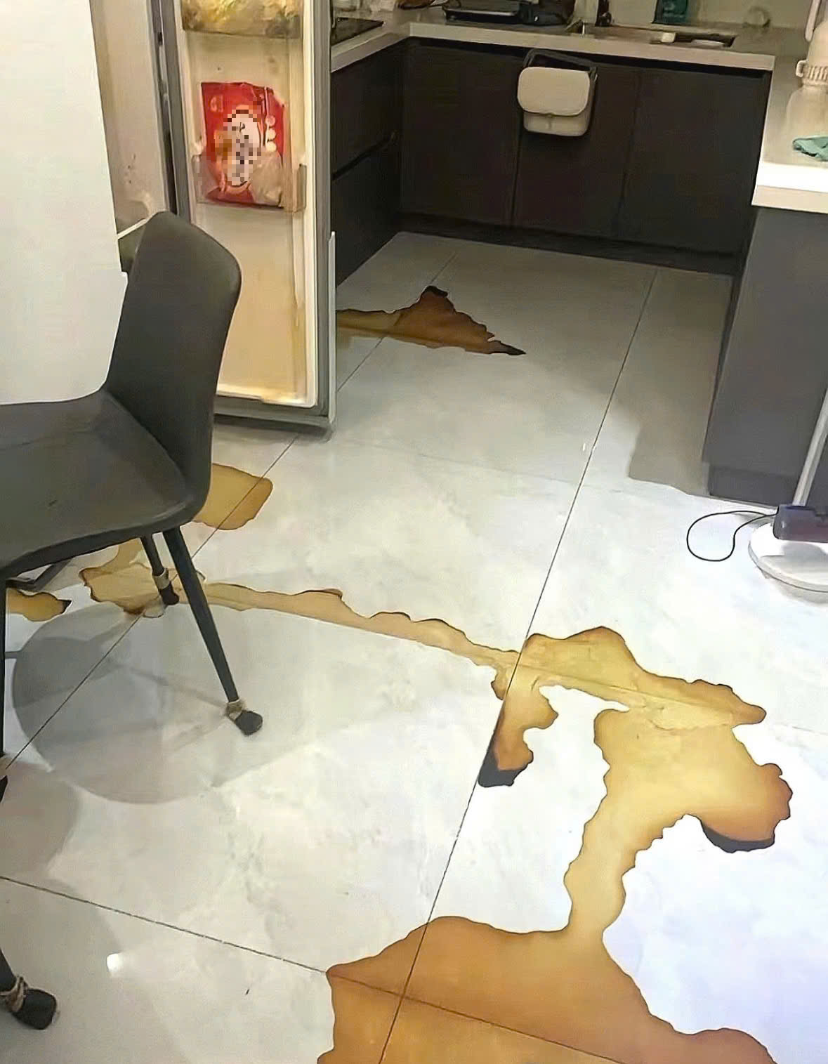 Mẹ vợ phát hiện chất lỏng màu đỏ rỉ ra từ tủ lạnh, mùi hôi thối kỳ lạ khi đến thăm con gái: "Tôi hét toáng, vội gọi cho con rể"- Ảnh 4. Mẹ vợ phát hiện chất lỏng màu đỏ rỉ ra từ tủ lạnh, mùi hôi thối kỳ lạ khi đến thăm con gái: "Tôi hét toáng, vội gọi cho con rể"- Ảnh 4.