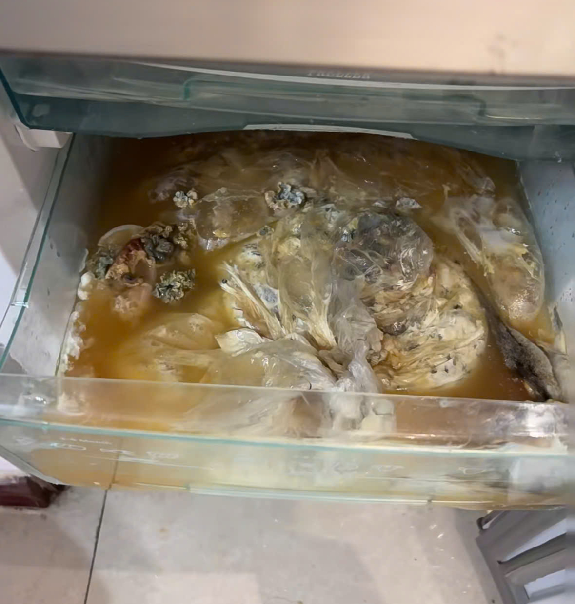 Mẹ vợ phát hiện chất lỏng màu đỏ rỉ ra từ tủ lạnh, mùi hôi thối kỳ lạ khi đến thăm con gái: "Tôi hét toáng, vội gọi cho con rể"- Ảnh 3. Mẹ vợ phát hiện chất lỏng màu đỏ rỉ ra từ tủ lạnh, mùi hôi thối kỳ lạ khi đến thăm con gái: "Tôi hét toáng, vội gọi cho con rể"- Ảnh 3.