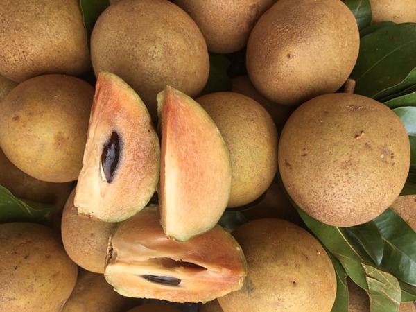 Top 9 tr&aacute;i c&acirc;y dễ 