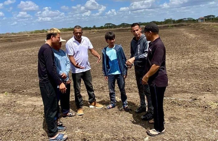Chỉ sau hơn 120 ngày, loài vật tỷ USD của Việt Nam trở thành hiện tượng mới ở Cuba - Ảnh 1.