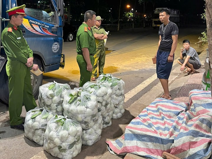 Phát hiện 300 kg rau củ nhiễm hóa chất độc hại tại Sơn La - Ảnh 1.