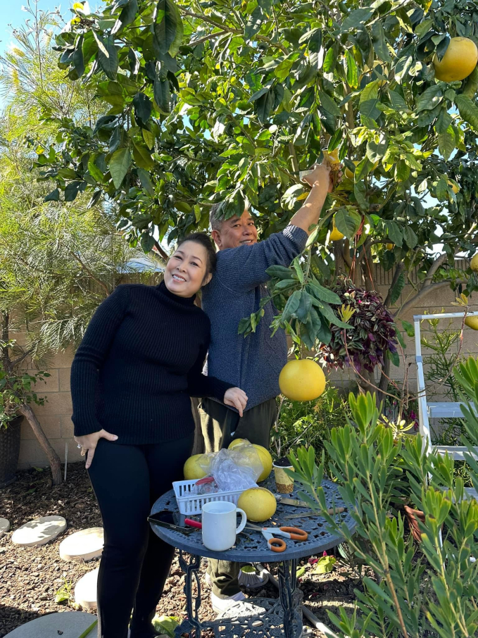 Nam thần Vbiz nhận cát-xê tới 60 cây vàng: Giải nghệ sớm, từng nặng tới gần 130kg- Ảnh 7.