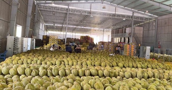 Nội tạng heo, gà, trứng non... bán tràn lan trên chợ mạng với giá rẻ bất ngờ - Ảnh 2.