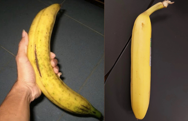 Đi chợ thấy chuối thẳng - chuối cong: Cao thủ liếc mắt 1 cái là biết nên chọn loại nào!- Ảnh 1.