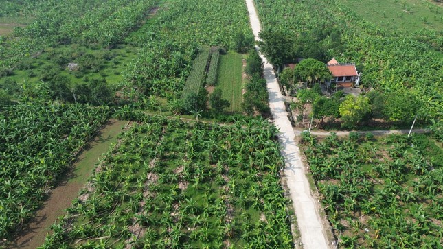 Hà Nội đề xuất xây công trình tạm trên đất bãi ven sông phục vụ nông nghiệp - Ảnh 1. Hà Nội đề xuất xây công trình tạm trên đất bãi ven sông phục vụ nông nghiệp - Ảnh 1.