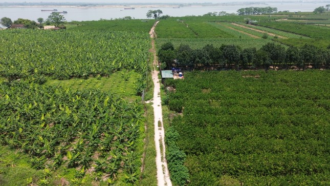 Hà Nội đề xuất xây công trình tạm trên đất bãi ven sông phục vụ nông nghiệp - Ảnh 2. Hà Nội đề xuất xây công trình tạm trên đất bãi ven sông phục vụ nông nghiệp - Ảnh 2.