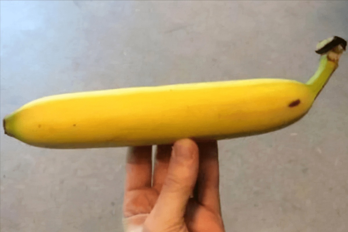 Đi chợ thấy chuối thẳng - chuối cong: Cao thủ liếc mắt 1 cái là biết nên chọn loại nào!- Ảnh 3.