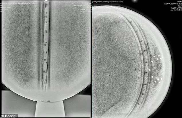 - Ảnh 5. - Ảnh 5.