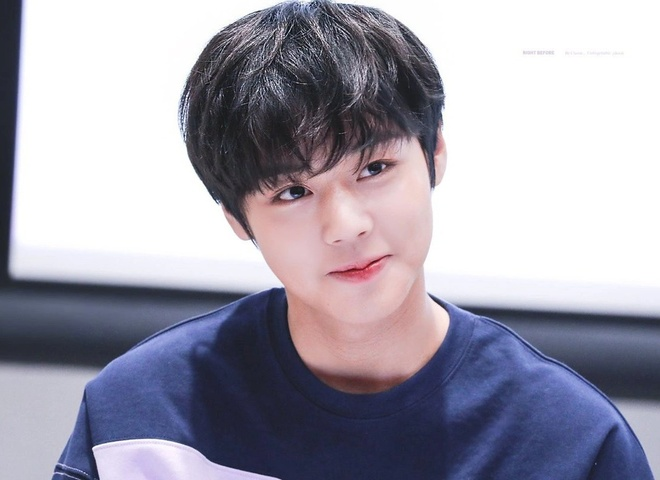 - Ảnh 4. - Ảnh 4.