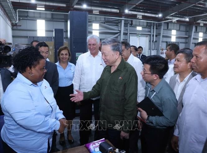 Hãng gạch nổi tiếng Việt Nam quyết làm một việc ở Cuba, hơn 6 năm sau đạt kết quả đáng ngưỡng mộ - Ảnh 3. Hãng gạch nổi tiếng Việt Nam quyết làm một việc ở Cuba, hơn 6 năm sau đạt kết quả đáng ngưỡng mộ - Ảnh 3.