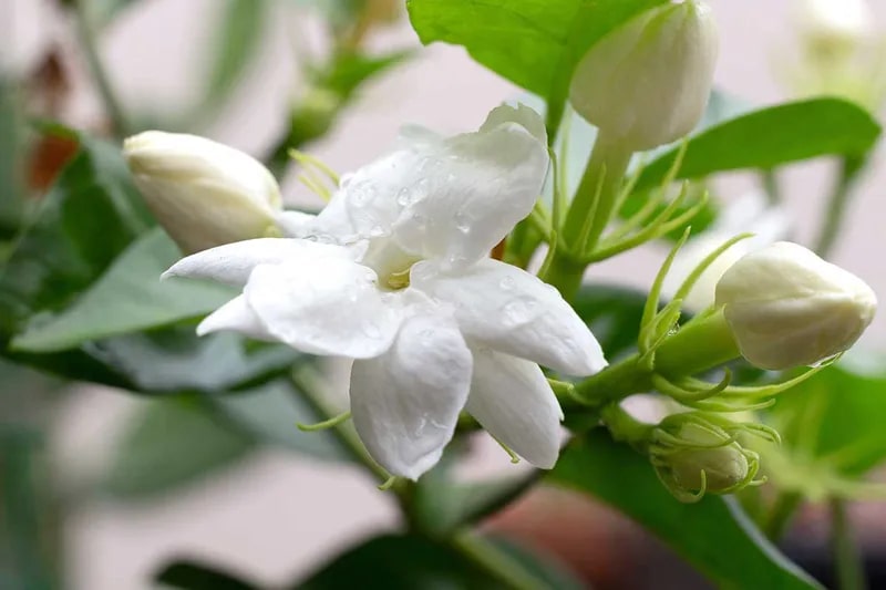Thấy nhà vệ sinh bốc mùi hôi tanh như cống rãnh, người thông minh xử lý nhẹ tựa lông hồng!- Ảnh 3.