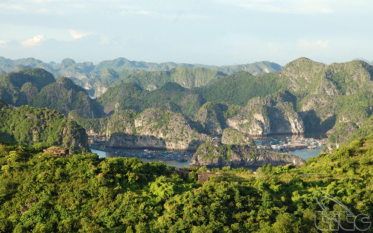 Bãi biển ở Cát Bà được mệnh danh là "thiên đường bí mật", nhiều người bất ngờ vì chưa từng nghe tên - Ảnh 12.